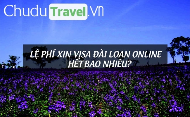 le phi xin visa dai loan online het bao nhieu