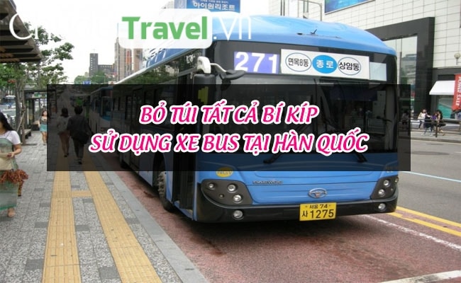 Bỏ túi tất cả bí kíp sử dụng xe bus tại Hàn Quốc