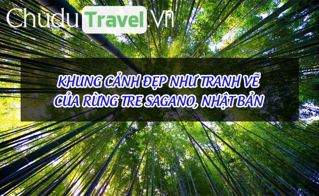 Khung cảnh đẹp như tranh vẽ của rừng tre Sagano, Nhật Bản